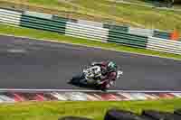 Advanced Group Multicolour Bikes